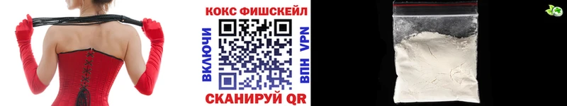 Купить где  Благодарный  Cocaine Fish Scale 