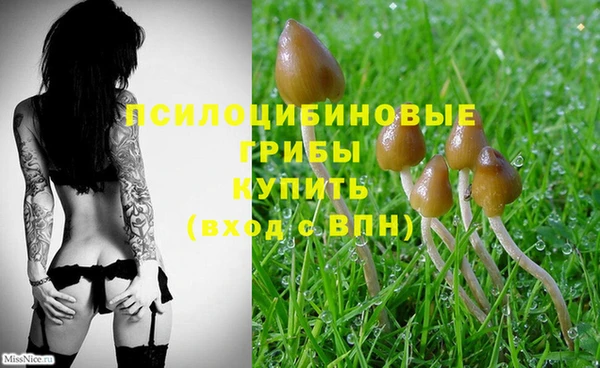 не бодяженный Струнино