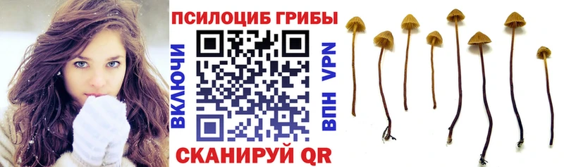 Псилоцибиновые грибы прущие грибы  Купить где  Благодарный 